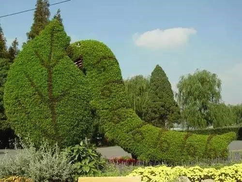 植物雕塑的城市景觀你見過嗎?