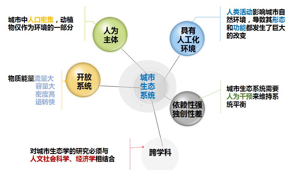 車(chē)生泉:生態(tài)城市與海綿城市