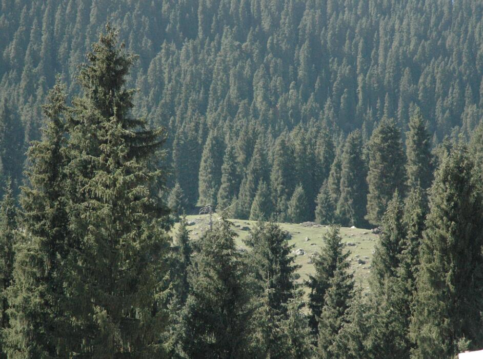 包滿珠:城市建設與屬地自然生態系統的保護