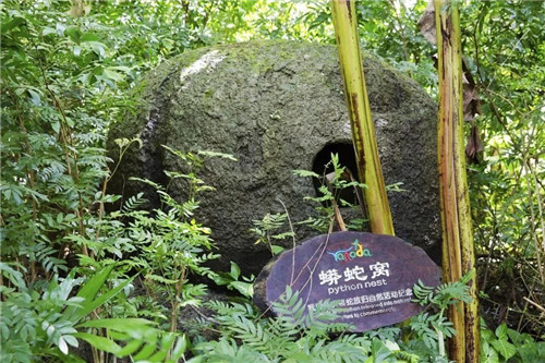 雨林谷:一個原生態(tài)的熱帶雨林植物的王國