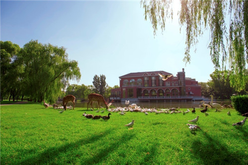 北京五環內竟然有座“城市森林”？