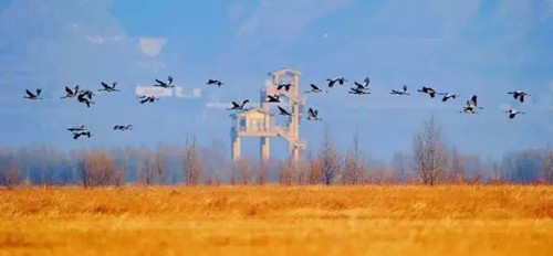 陳躍中:當代語境下的風景園林