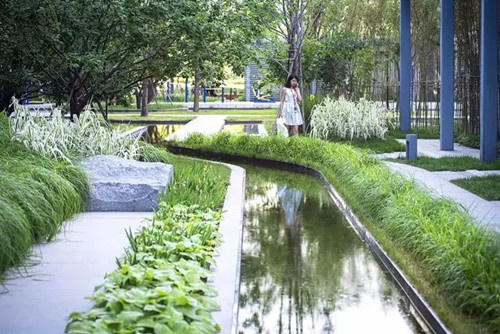 陳躍中:當代語境下的風景園林