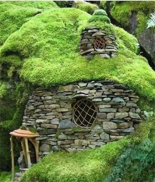 綠植代替瓦片,覆土建筑讓景觀天人合一!