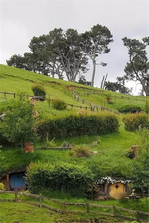綠植代替瓦片，覆土建筑讓景觀天人合一！