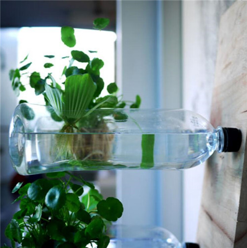 TROP作品：Pok設(shè)計(jì)的雕塑2