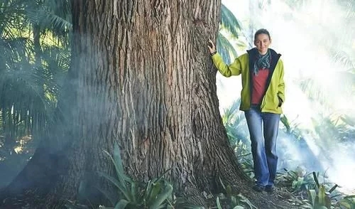 植物有隱藏的記憶?