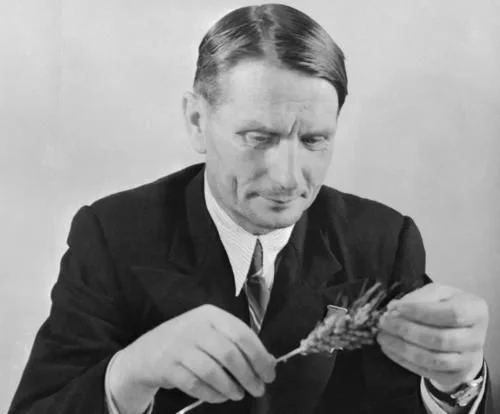 植物有隱藏的記憶?