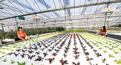 河北滄州：鹽堿灘上崛起生態城