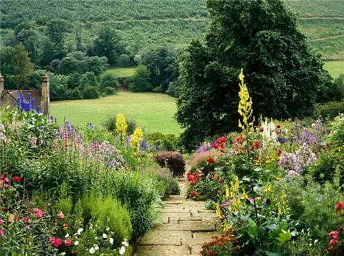花境:打造天然植物之美