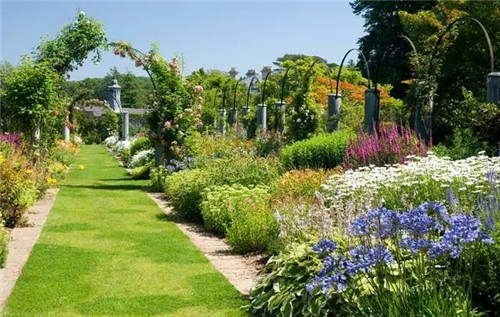 花境:打造天然植物之美