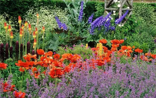 花境:打造天然植物之美
