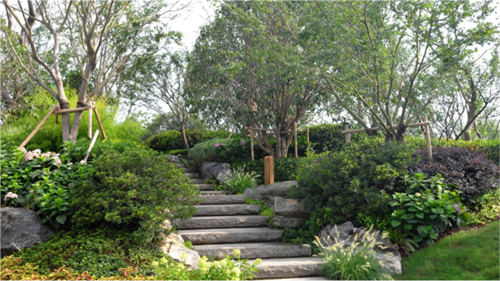 園冶杯專業(yè)獎:第十一屆中國園博會上海慧園