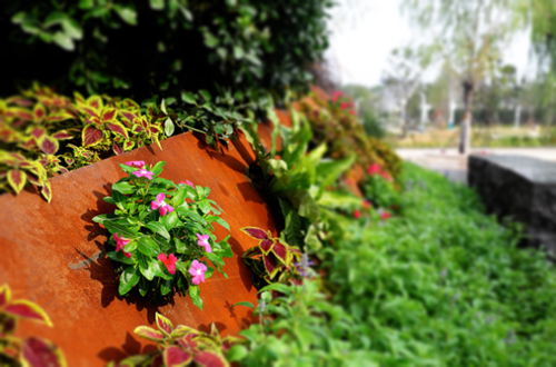 園冶杯專業(yè)獎:第十一屆中國園博會上海慧園