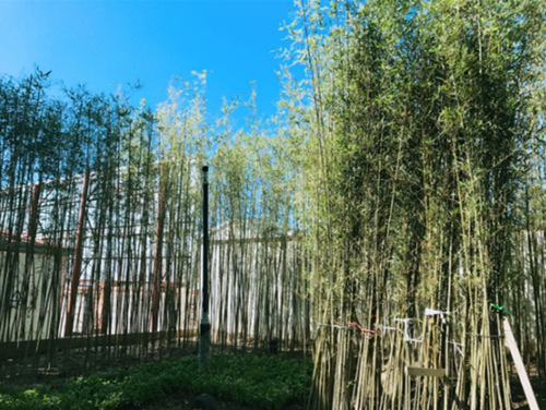 園冶杯專業獎：天津譽峰園園林景觀工程