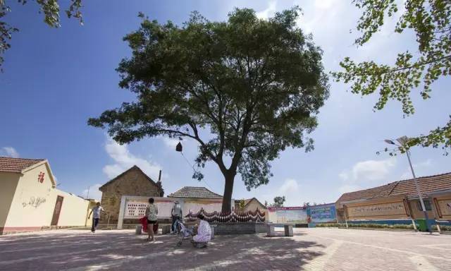 鄉村公共空間打造助推美麗鄉村建設