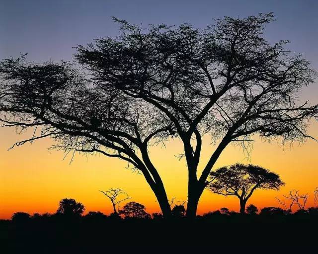 鄉村公共空間打造助推美麗鄉村建設