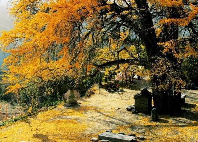 鄉村公共空間打造助推美麗鄉村建設