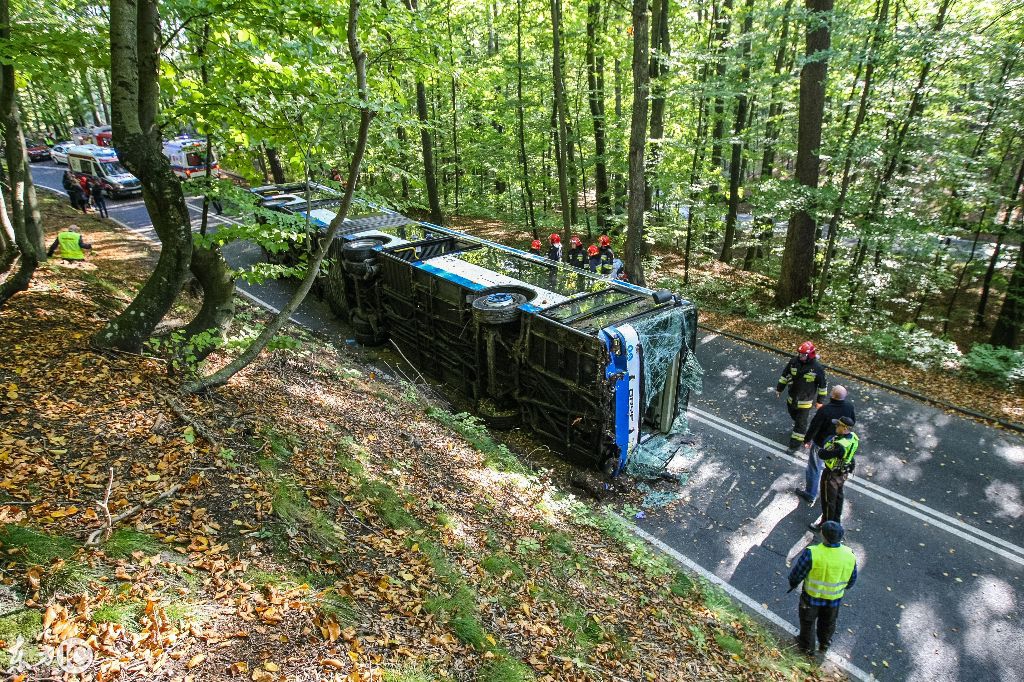 國(guó)外一森林公園中城市大巴在森林道路上側(cè)翻