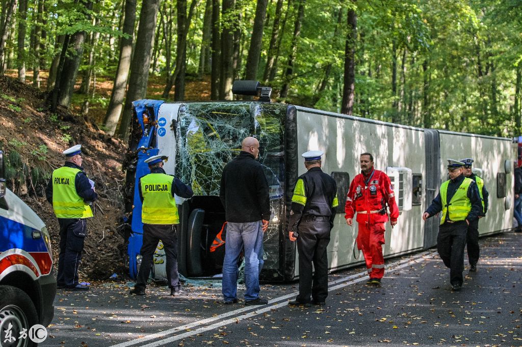 國(guó)外一森林公園中城市大巴在森林道路上側(cè)翻