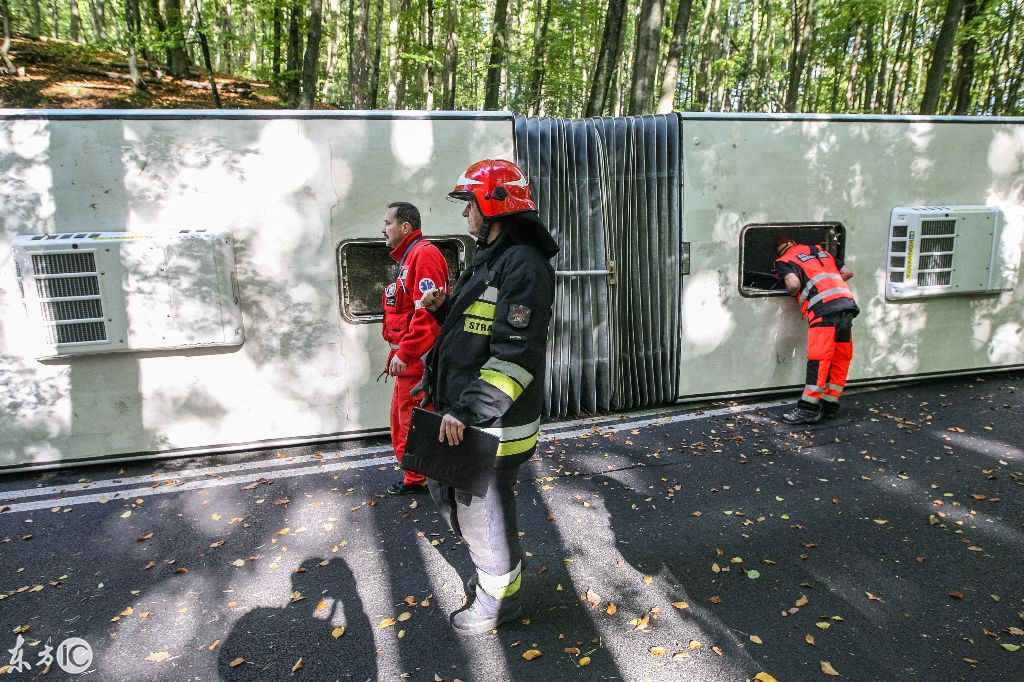 國(guó)外一森林公園中城市大巴在森林道路上側(cè)翻