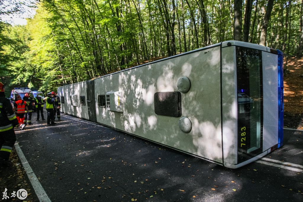 國(guó)外一森林公園中城市大巴在森林道路上側(cè)翻