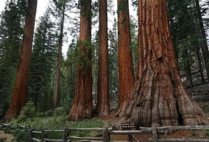 美國(guó)國(guó)家公園公益?zhèn)€案對(duì)中國(guó)慈善家的啟示