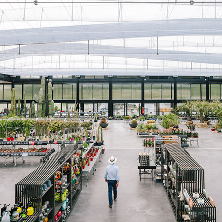 廢棄荒地變仙人掌花園——西班牙“沙漠之城”