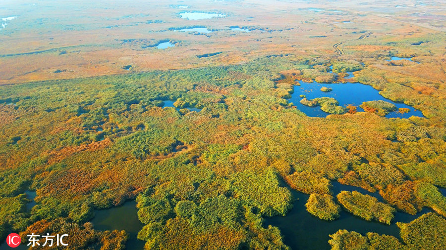 航拍新疆博斯騰湖濕地 秋色美得這么任性！