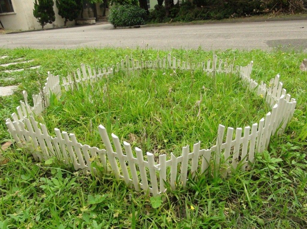 看到這個(gè)雜草千萬(wàn)不要砍，是瀕危野生植物