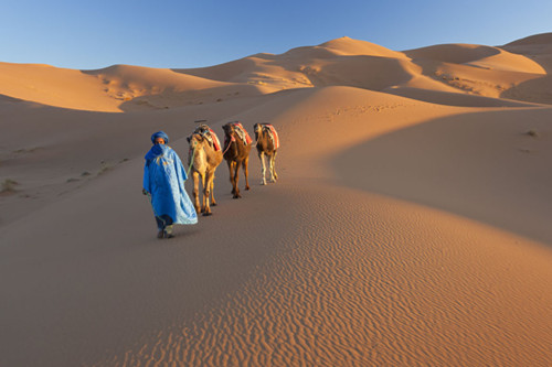 挪威科學(xué)家欲借助海水太陽(yáng)能綠化撒哈拉沙漠