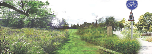 園冶杯專業獎:梅溪湖路西延線道路景觀設計