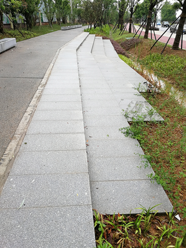 園冶杯專業獎:梅溪湖路西延線道路景觀設計