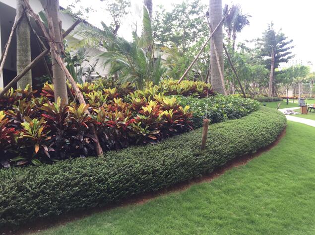 專業獎：海南省瓊海市和順小區一期改造工程