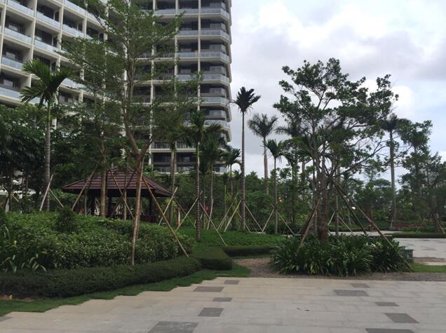 專業獎：海南省瓊海市和順小區一期改造工程