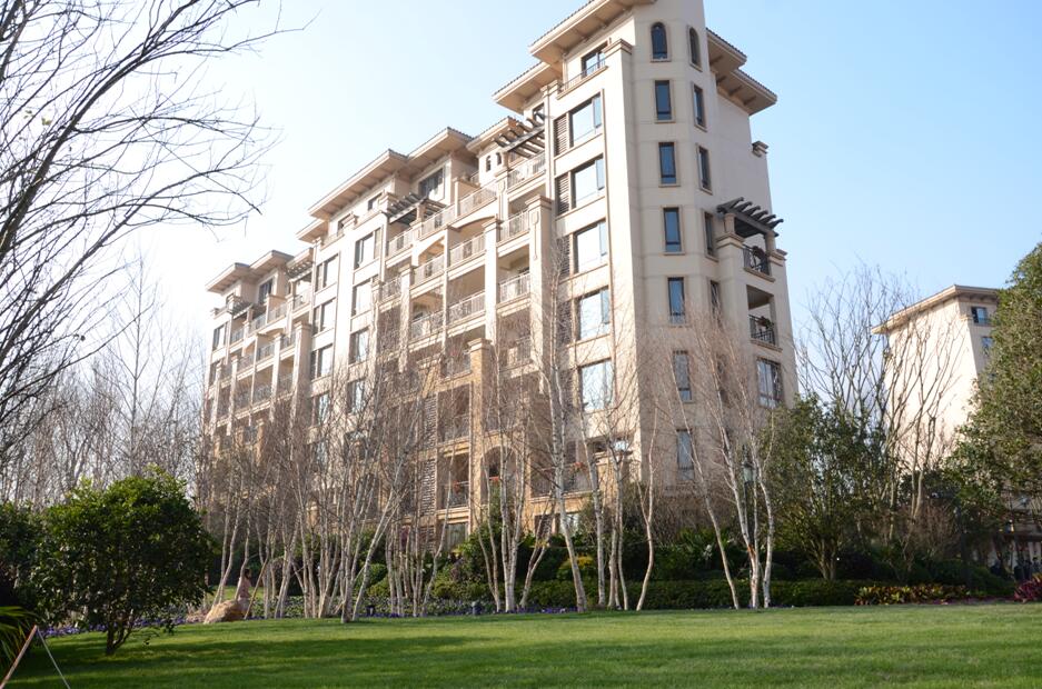 2017園冶杯專業獎:金科?中央公園城