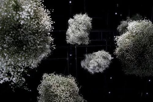 時尚、藝術、花卉 一場盛開的對話