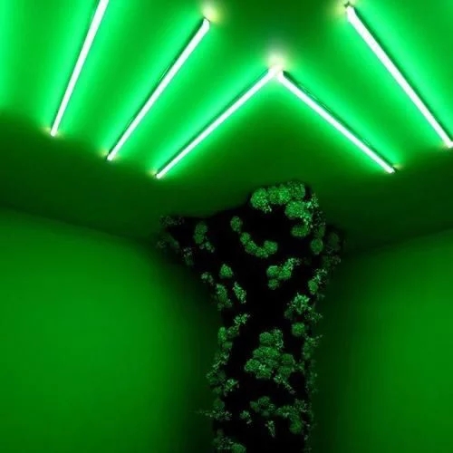 時尚、藝術、花卉 一場盛開的對話