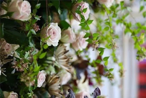 時尚、藝術、花卉 一場盛開的對話