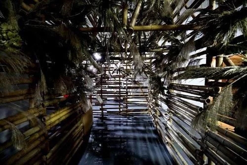 時尚、藝術、花卉 一場盛開的對話