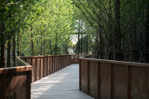園冶杯專業獎：蘇州紫竹云山墅景觀設計