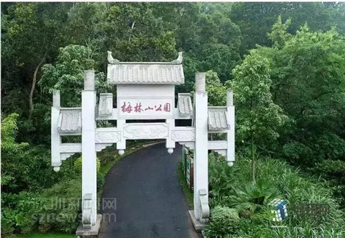 古樹(shù)寺廟和綠道,走進(jìn)梅林人的后花園