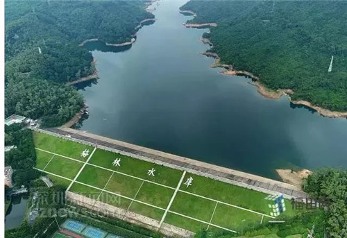 古樹(shù)寺廟和綠道,走進(jìn)梅林人的后花園