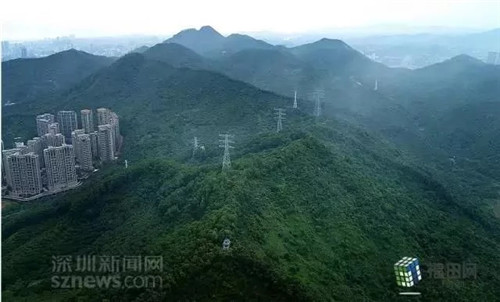 古樹(shù)寺廟和綠道,走進(jìn)梅林人的后花園