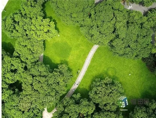 古樹(shù)寺廟和綠道,走進(jìn)梅林人的后花園