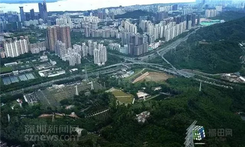 古樹(shù)寺廟和綠道,走進(jìn)梅林人的后花園