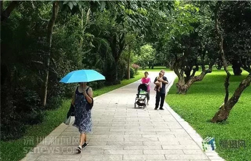 古樹(shù)寺廟和綠道,走進(jìn)梅林人的后花園
