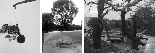 園冶杯專業獎：蘇州紫竹云山墅景觀設計