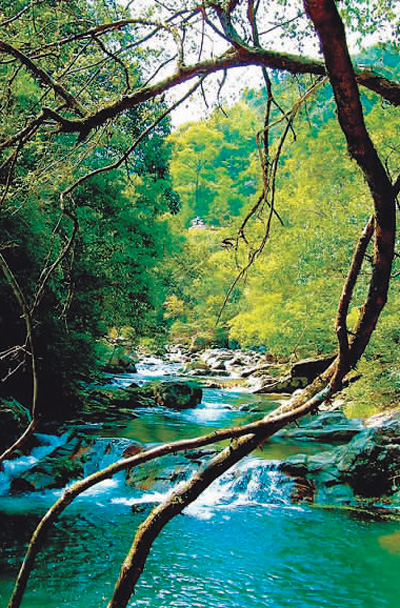 國家公園不是“搖錢樹”