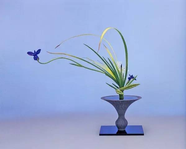 中式、日式、西式插花，最大的區(qū)別是什么？